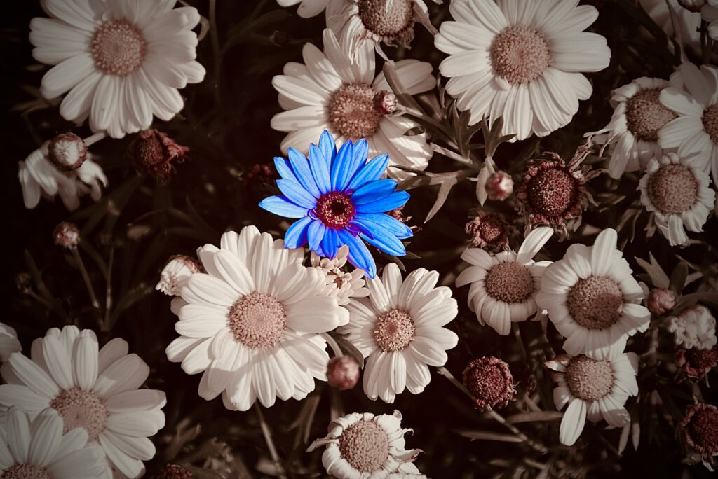 Osez une communication différente 